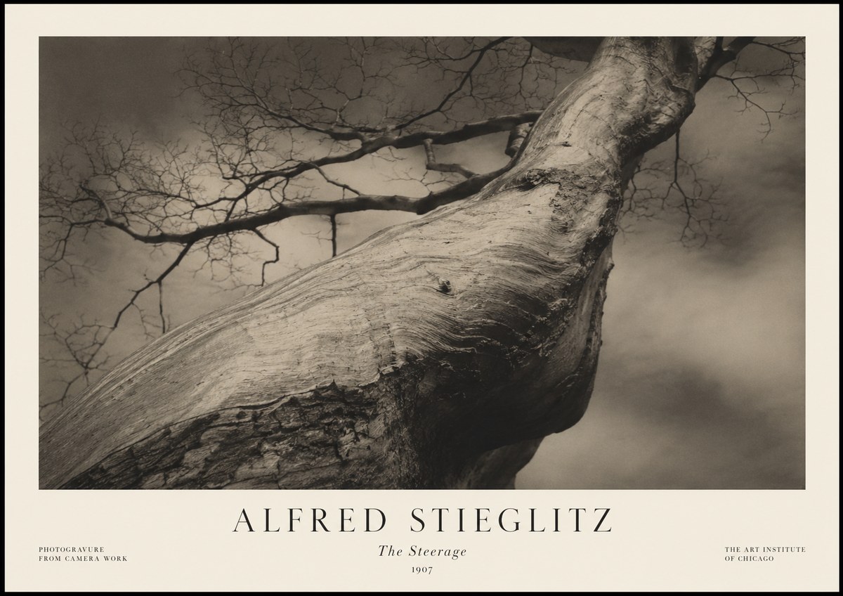 Alfred Stieglitz The Steerage I No1 - Poster