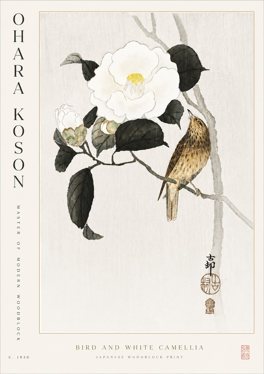 Ohara Koson Bird and White Camellia No5 - Poster
