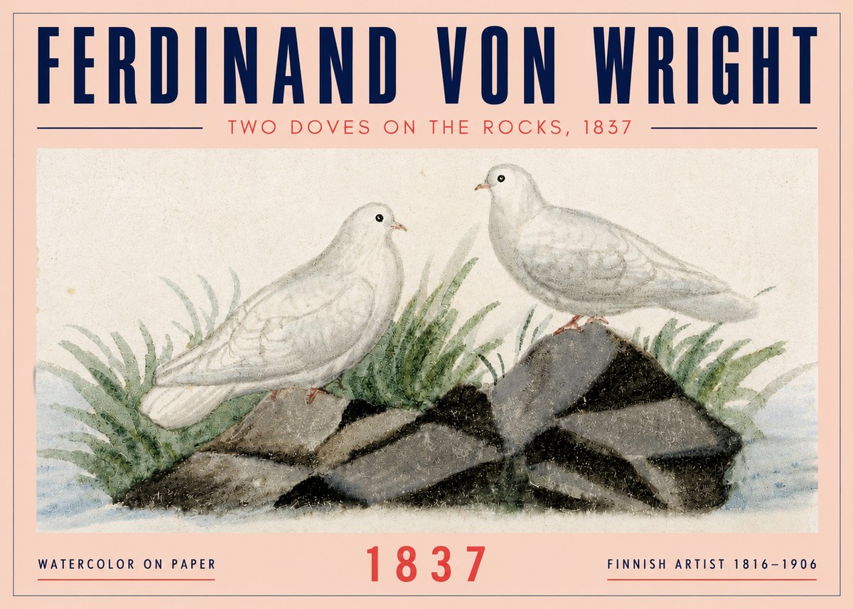 Ferdinand von Wright Two Doves on the Rocks, 1837 No4 - Poster