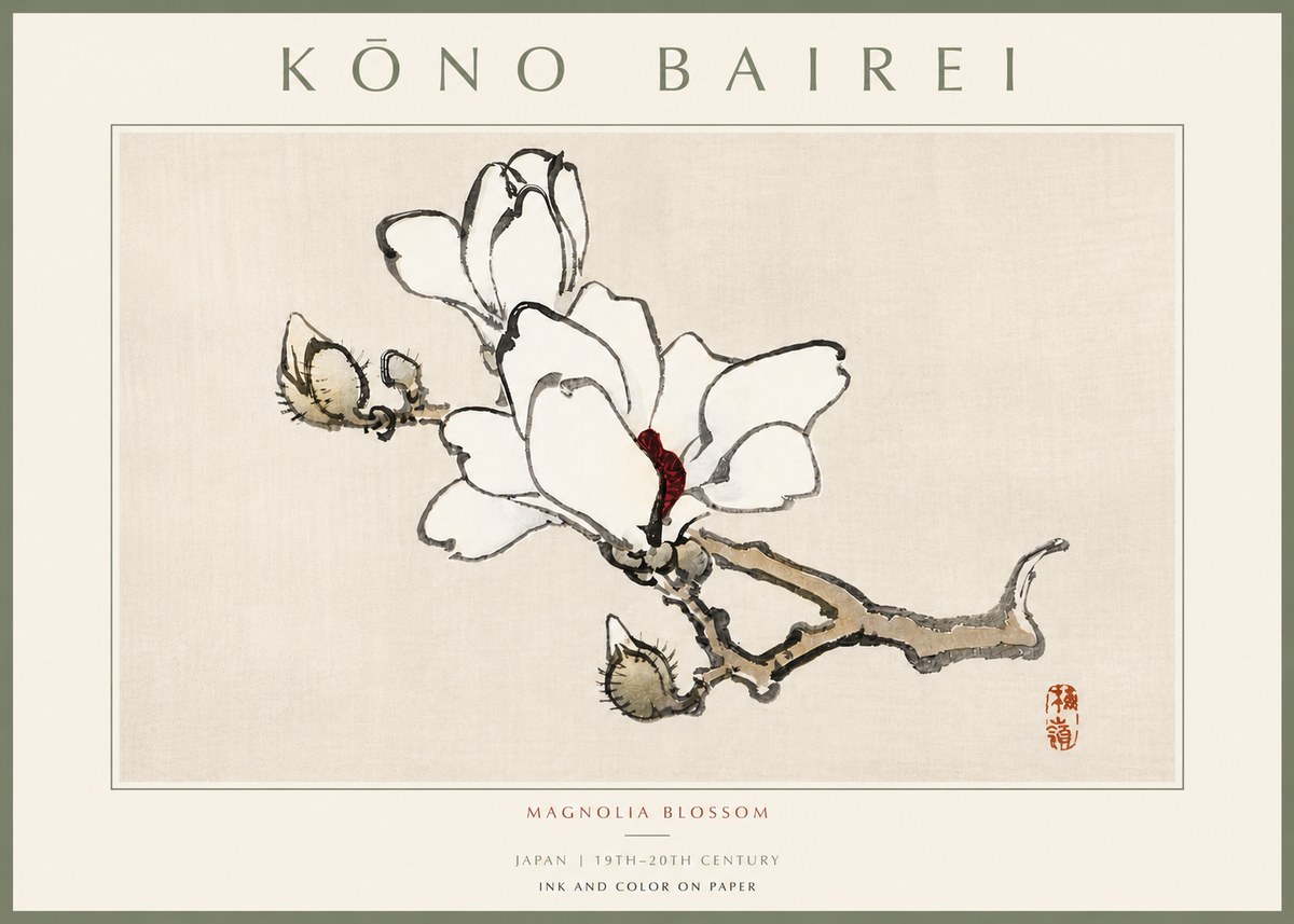 Kōno Bairei Magnolia Blossom No5 - Poster