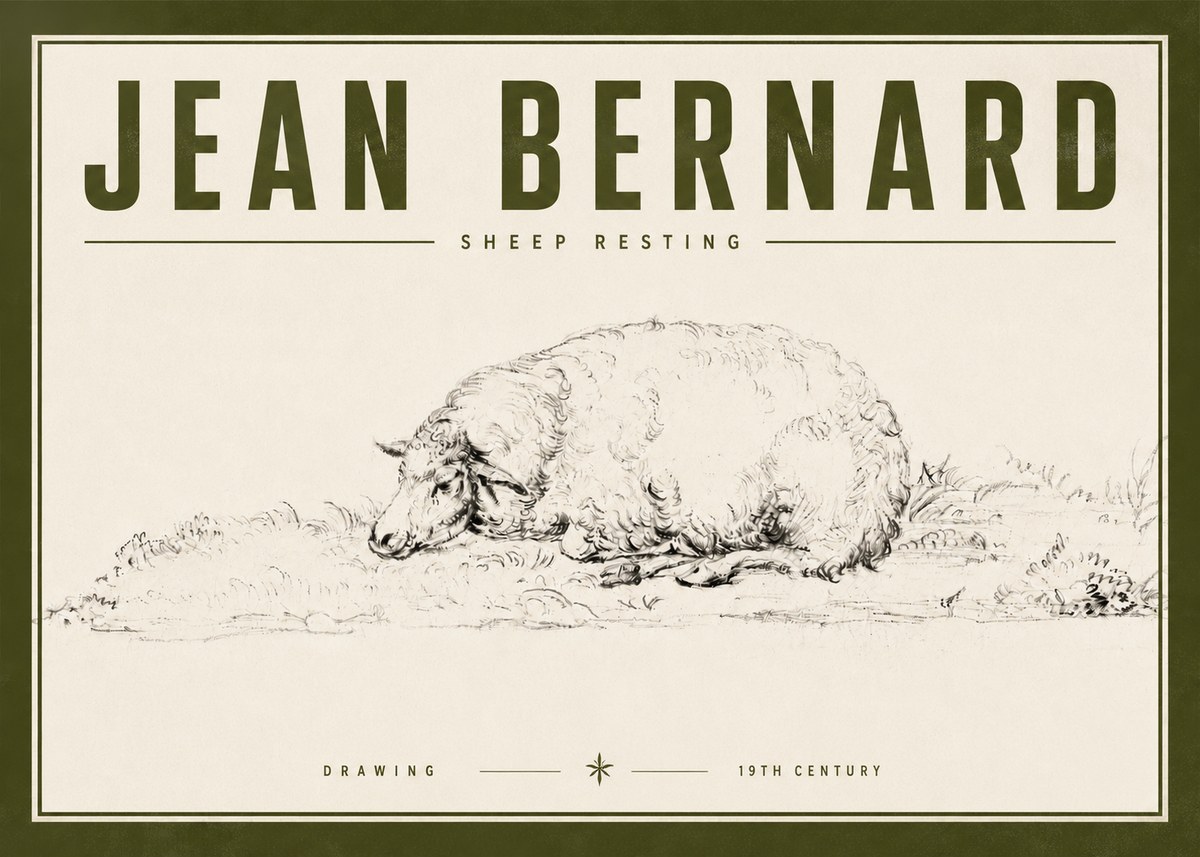Jean Bernard Sheep Resting on the Ground No6 - Poster