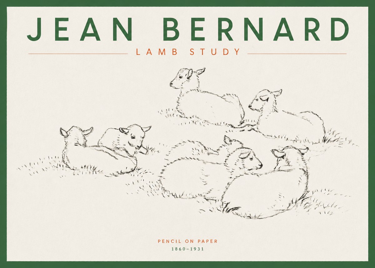 Jean Bernard Study of Lambs No5 - Poster