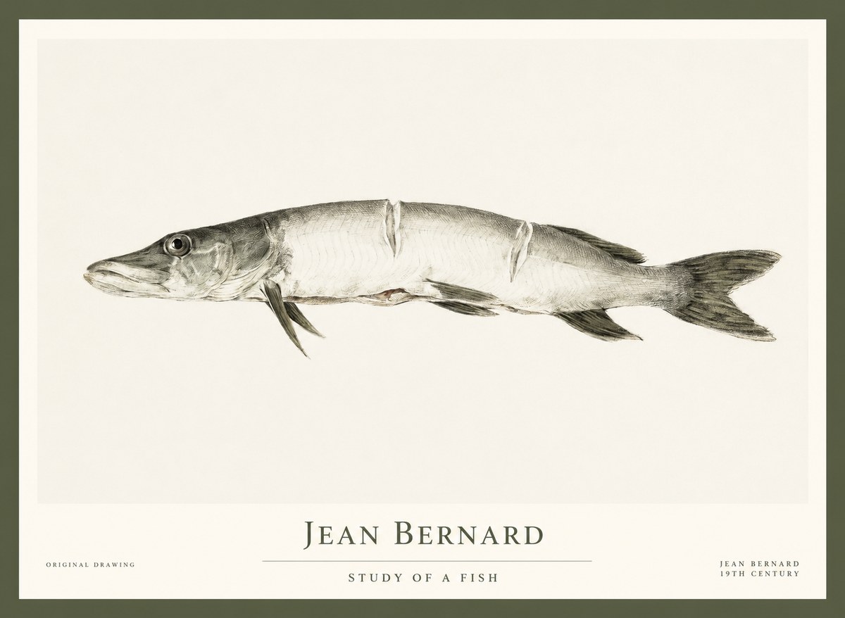 Jean Bernard Study of a Fish II No1 - Poster