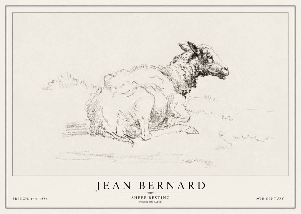 Jean Bernard Sheep Resting No1 - Poster