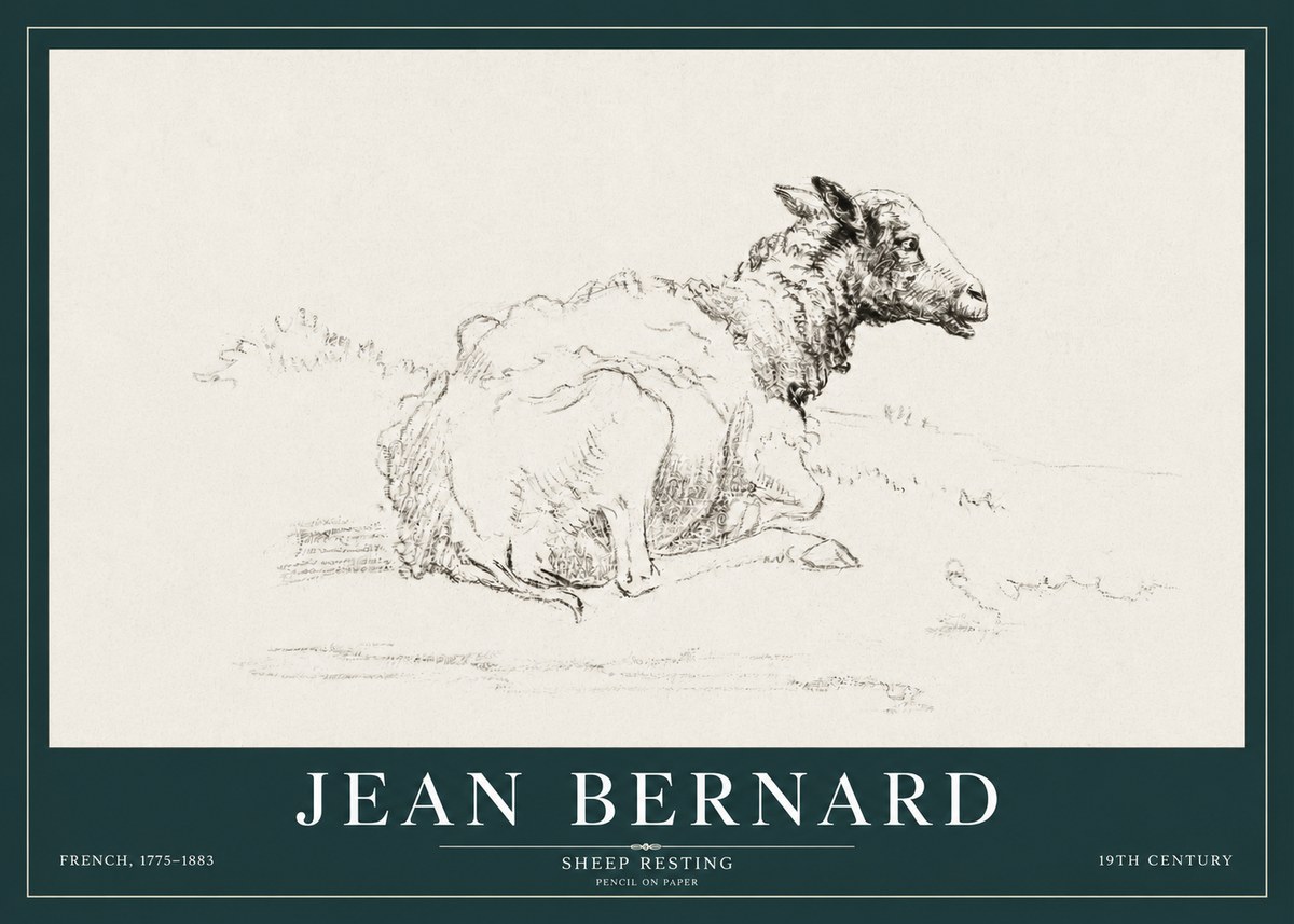 Jean Bernard Sheep Resting No3 - Poster