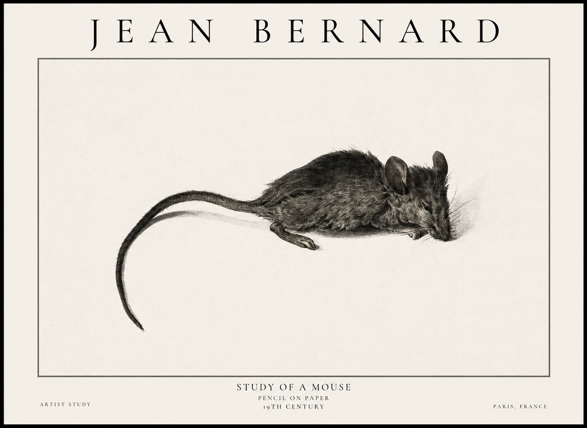 Jean Bernard Study of a Mouse I No6 - Poster