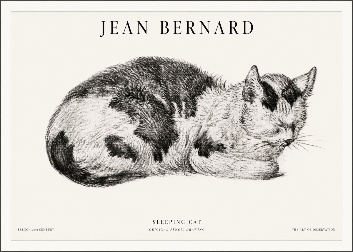 Jean Bernard Sleeping Cat I No5 - Poster
