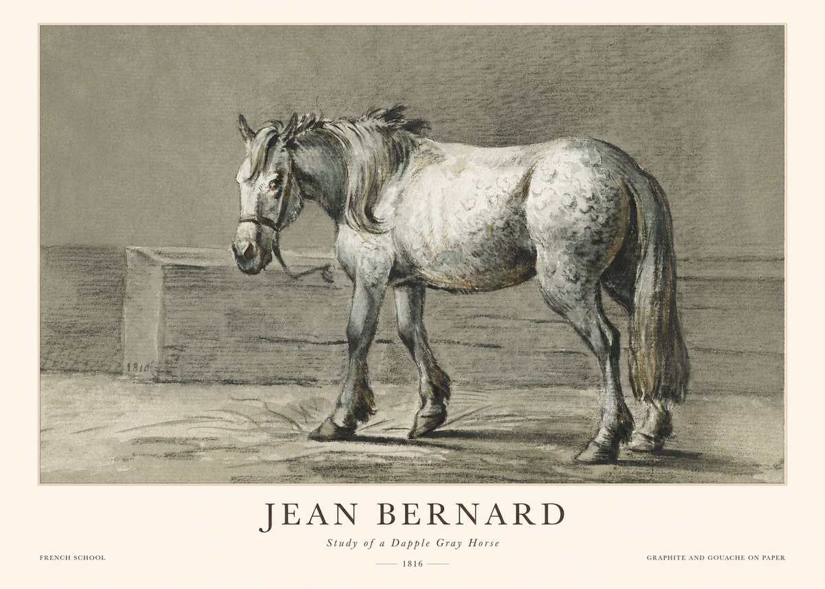 Jean Bernard Study of a Dapple Gray Horse No1 - Poster