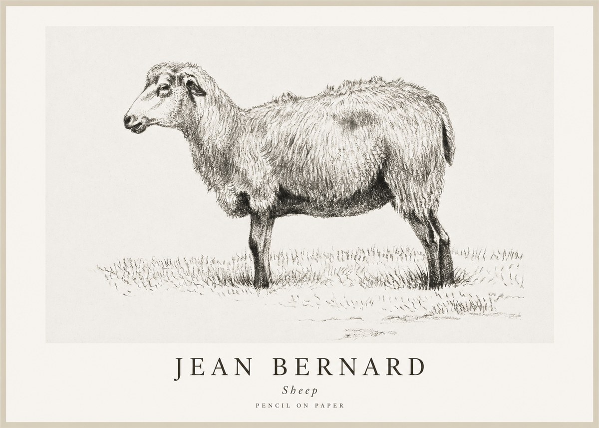 Jean Bernard Sheep No1 - Poster
