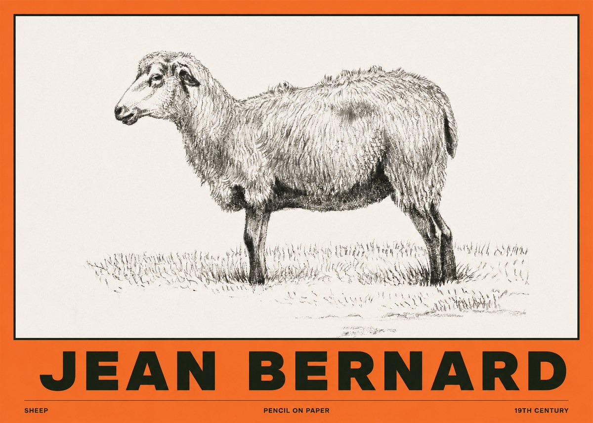 Jean Bernard Sheep No2 - Poster