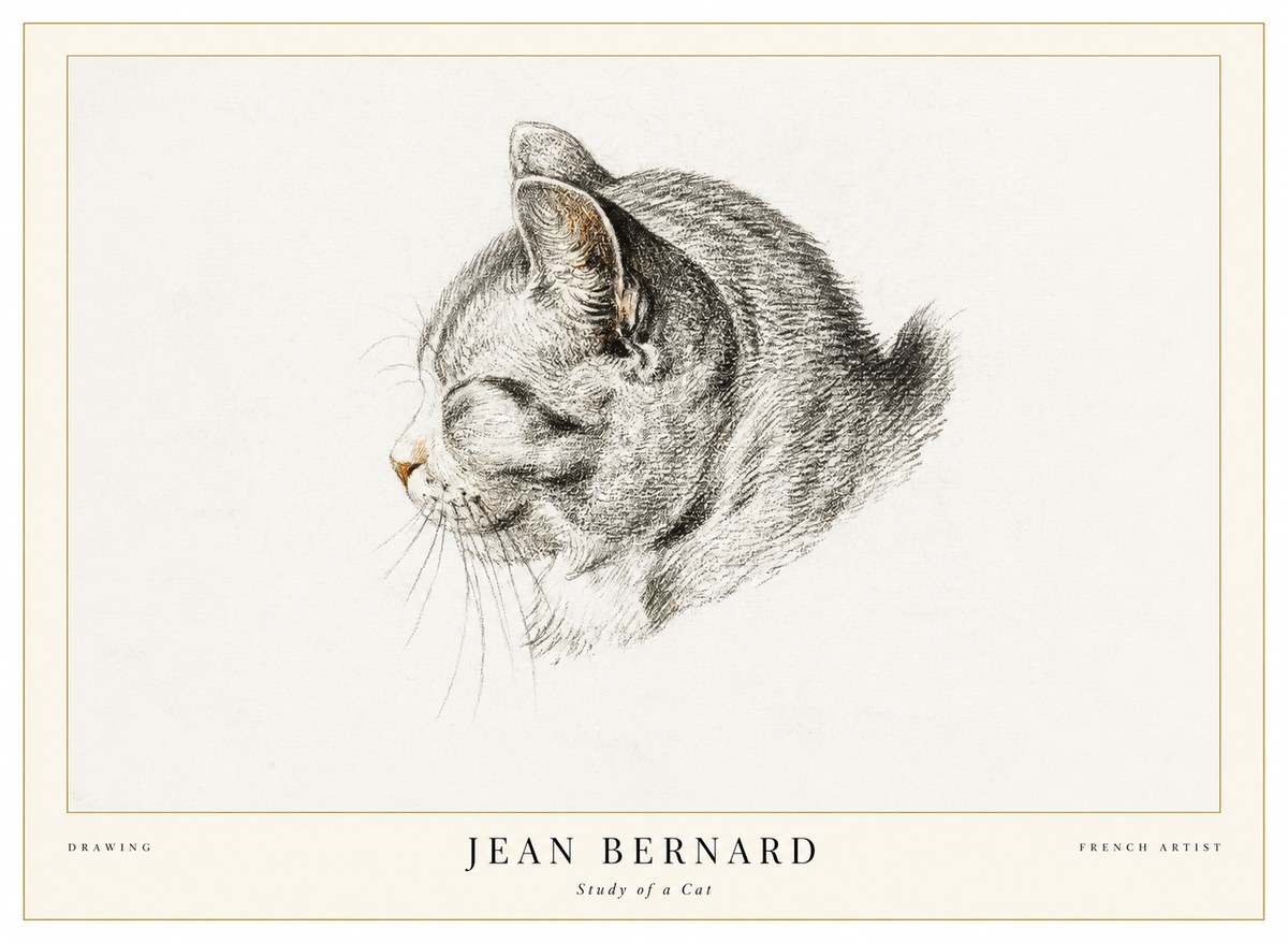 Jean Bernard Study of a Cat I No1 - Poster