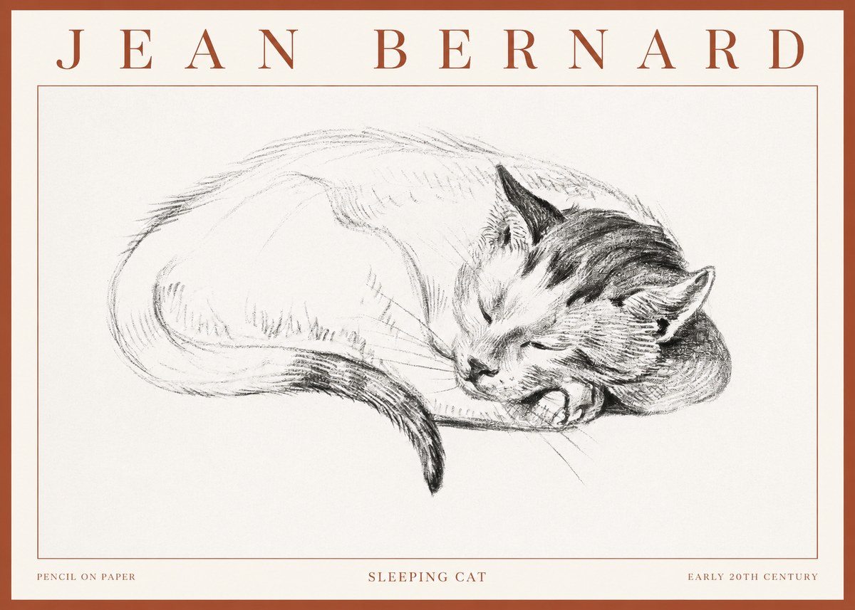 Jean Bernard Sleeping Cat IV No3 - Poster