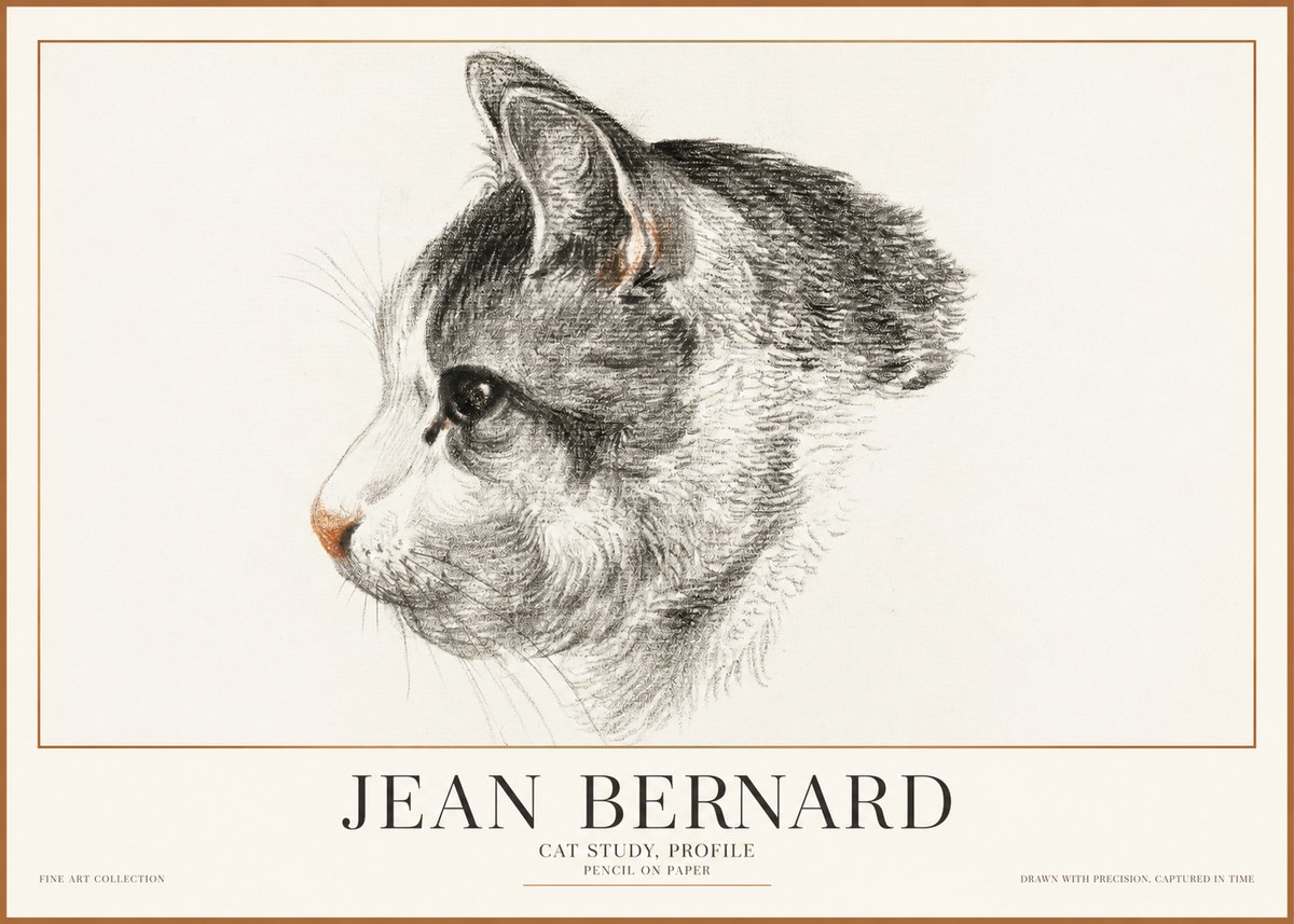 Jean Bernard Cat Study, Profile No1 - Poster