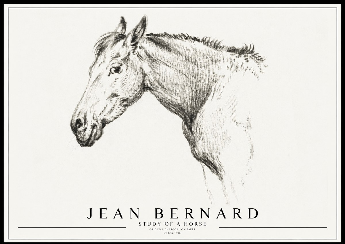 Jean Bernard Study of a Horse VI No3 - Poster