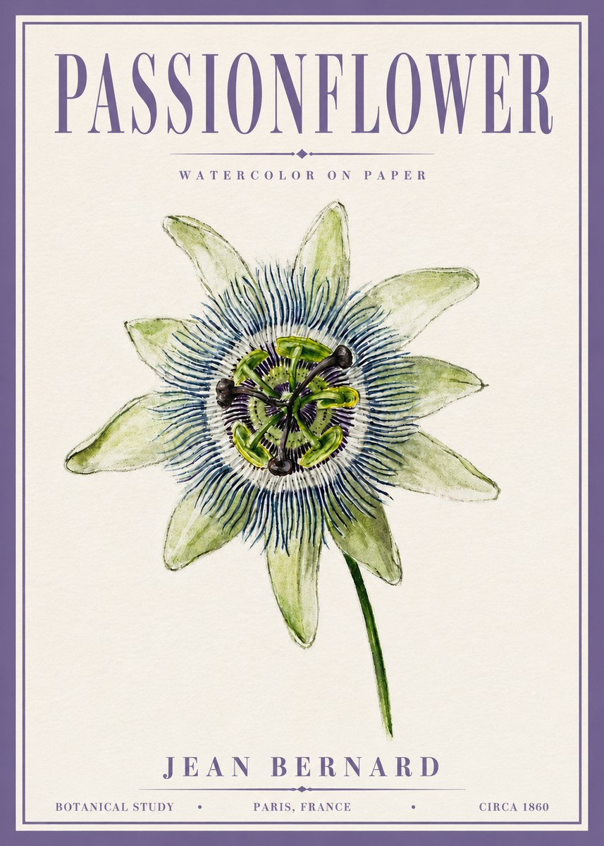 Jean Bernard Passionflower No6 - Poster