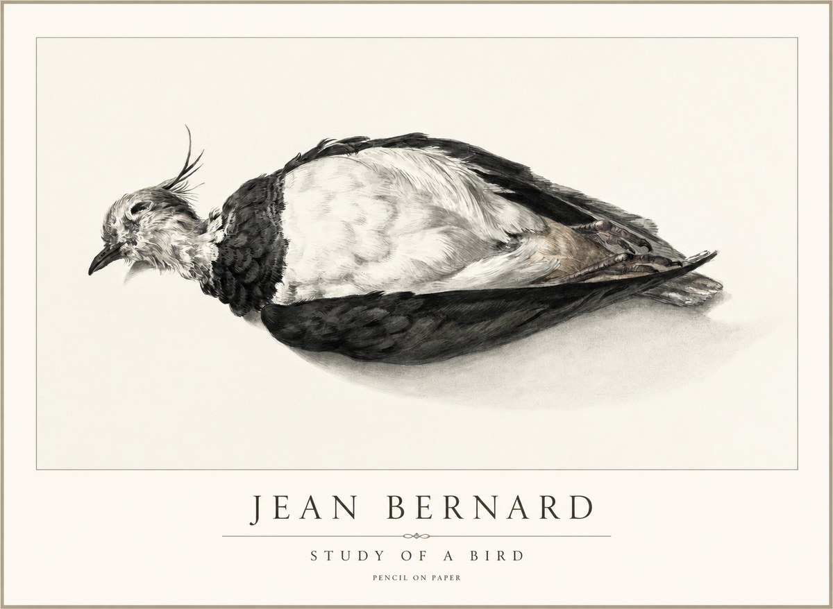 Jean Bernard Study of a Bird II No2 - Poster