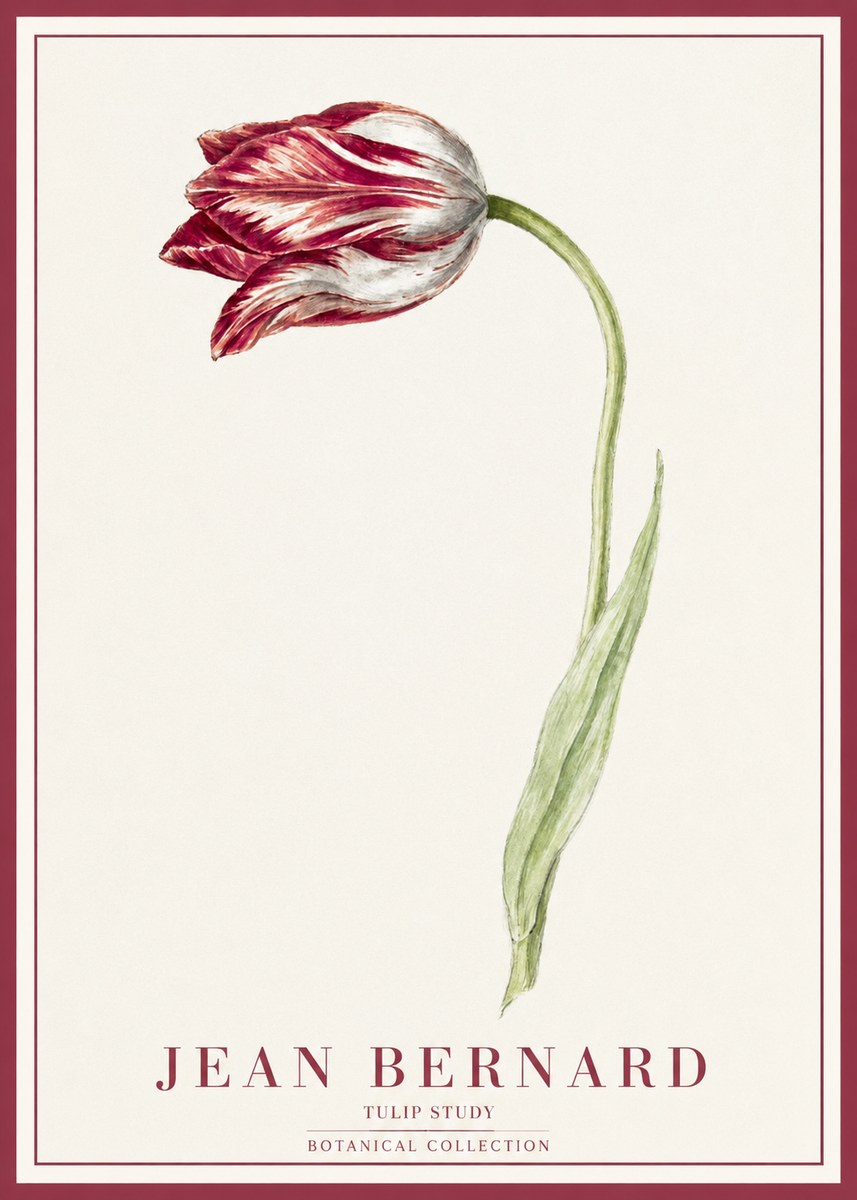 Jean Bernard Tulip Study No1 - Poster