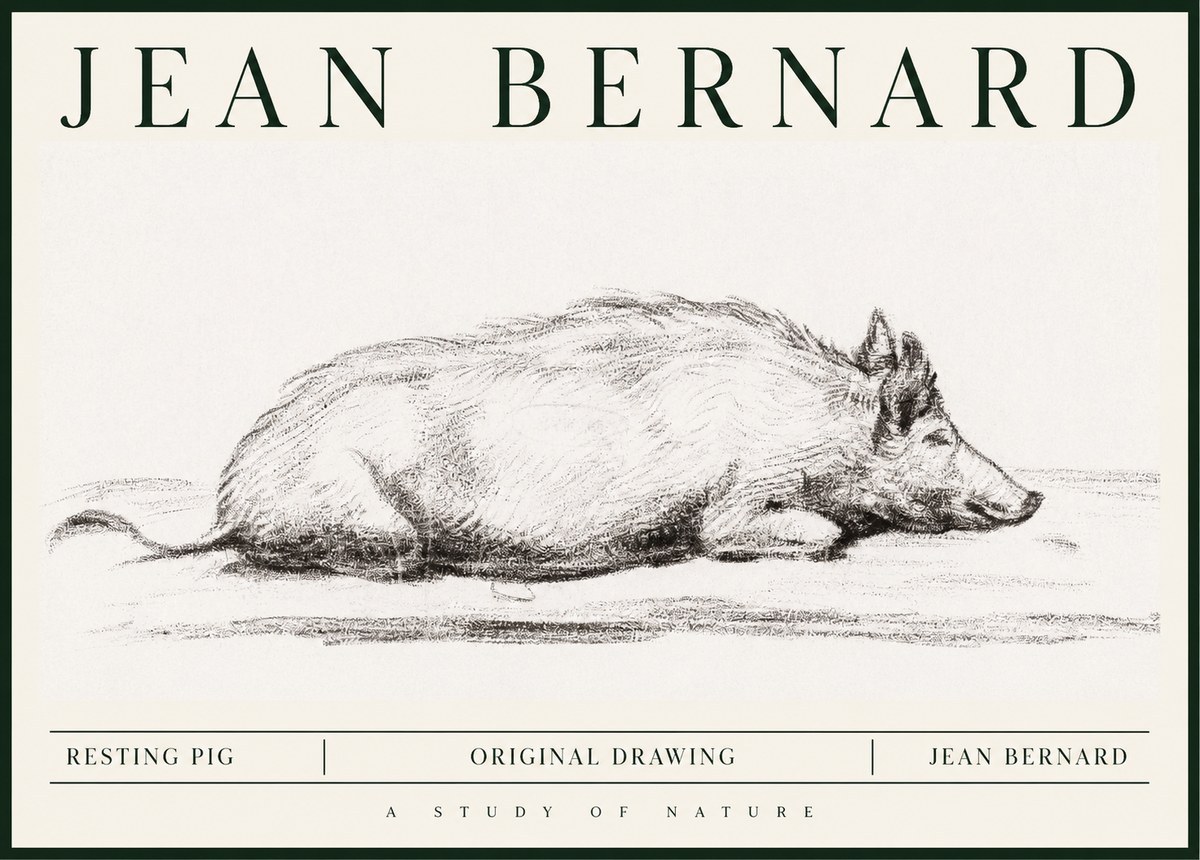Jean Bernard Resting Pig I No1 - Poster