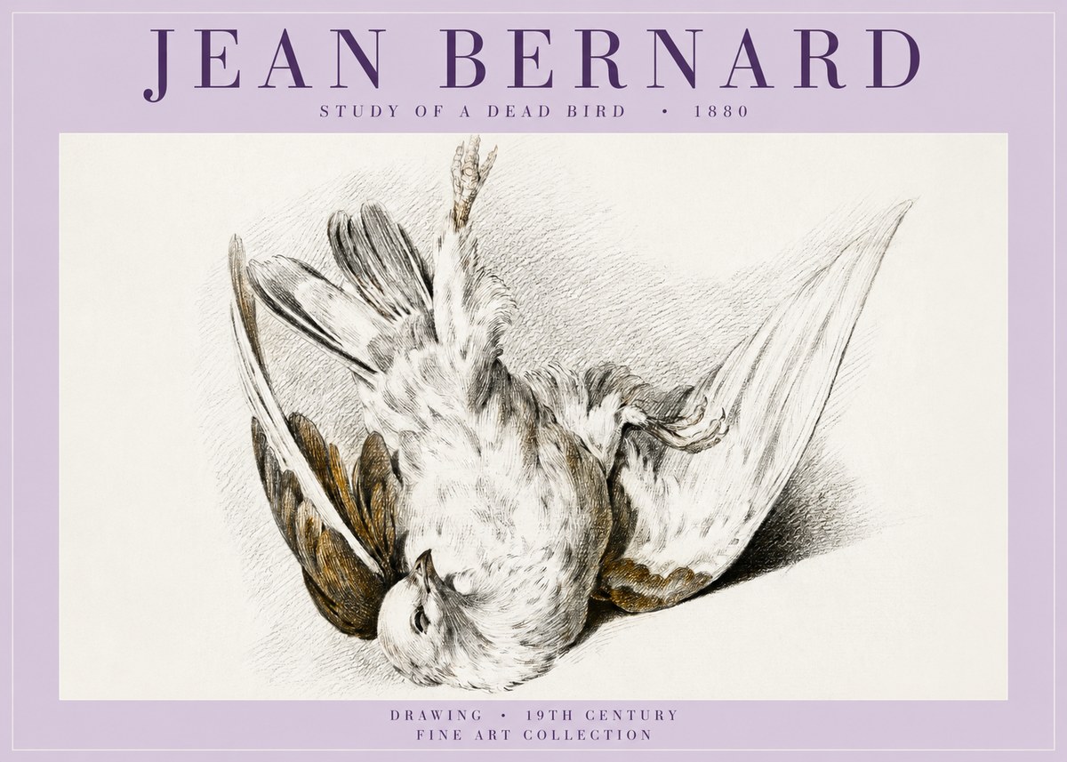 Jean Bernard Study of a Dead Bird No5 - Poster