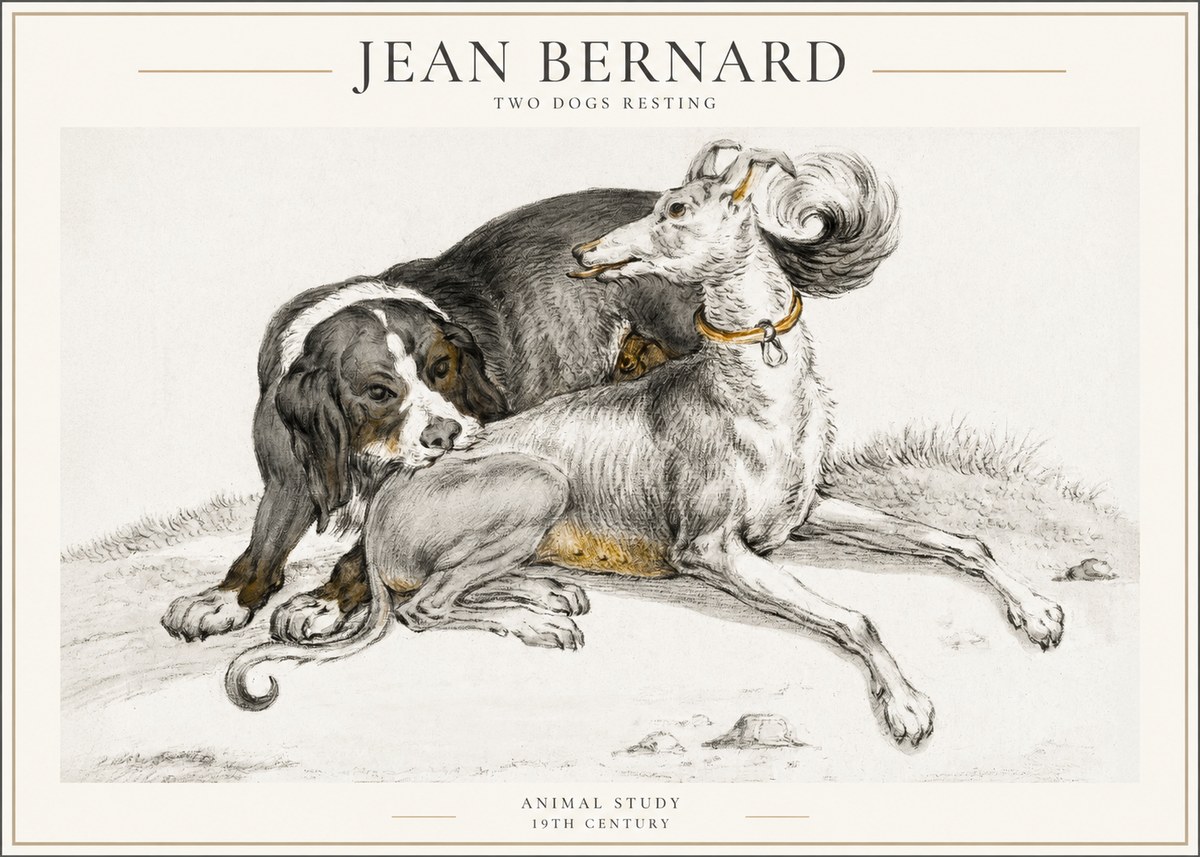 Jean Bernard Two Dogs Resting No4 - Poster