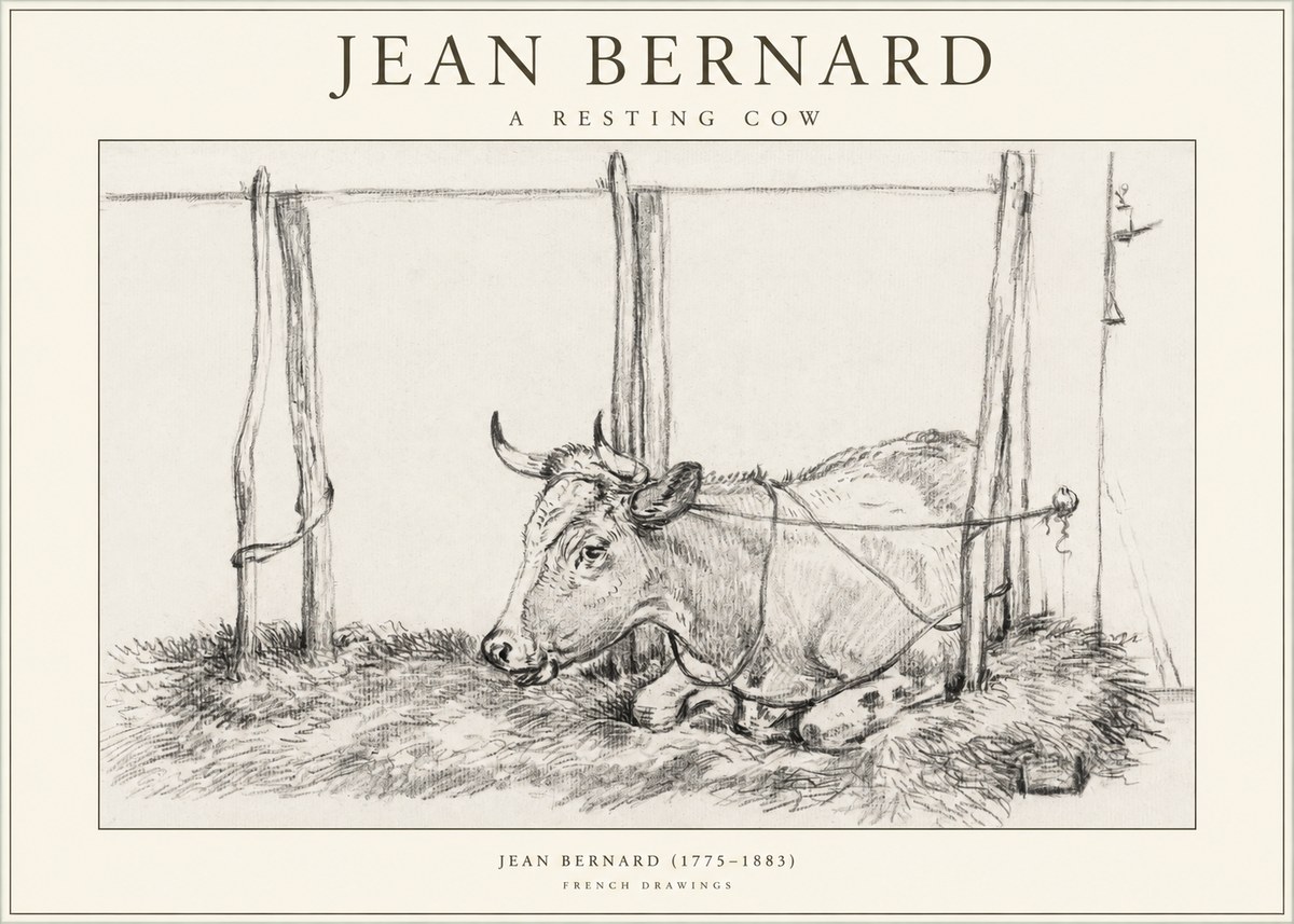 Jean Bernard A Resting Cow No1 - Poster