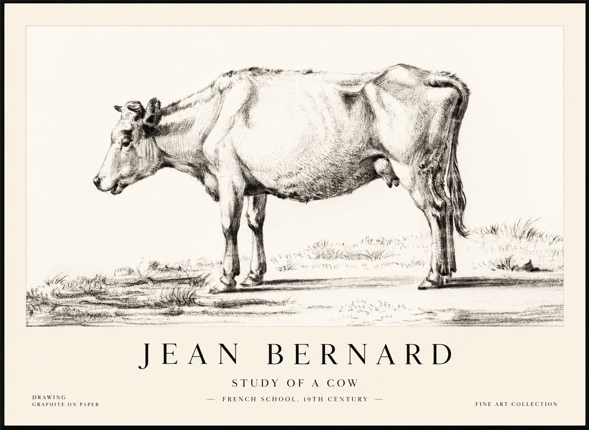Jean Bernard Study of a Cow XI No2 - Poster