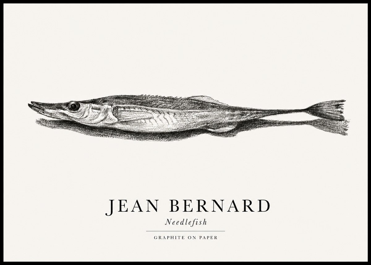 Jean Bernard Needlefish No1 - Poster