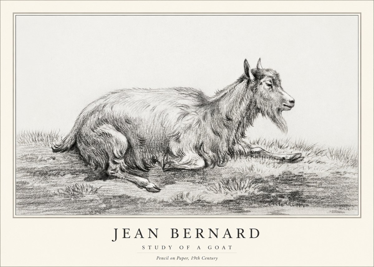 Jean Bernard Study of a Goat V No1 - Poster