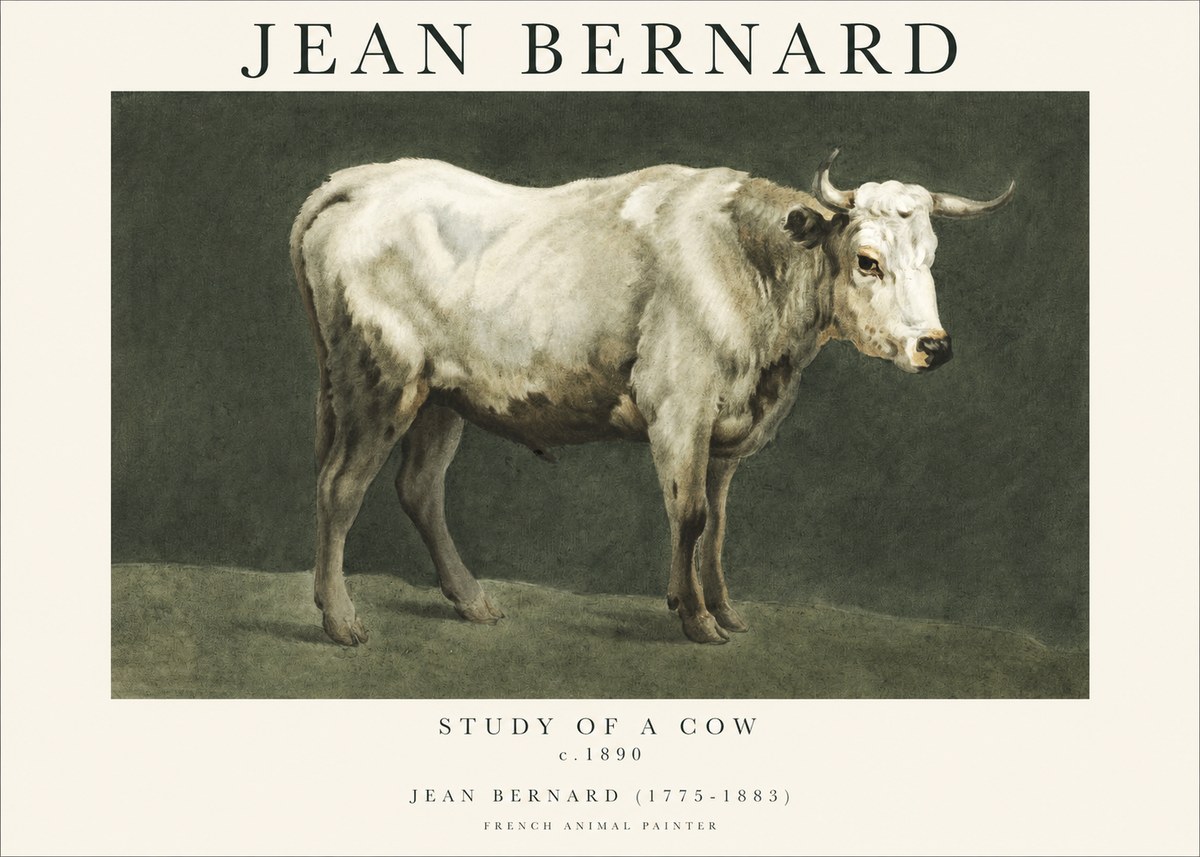 Jean Bernard Study of a Cow C. 1890 No1 - Poster