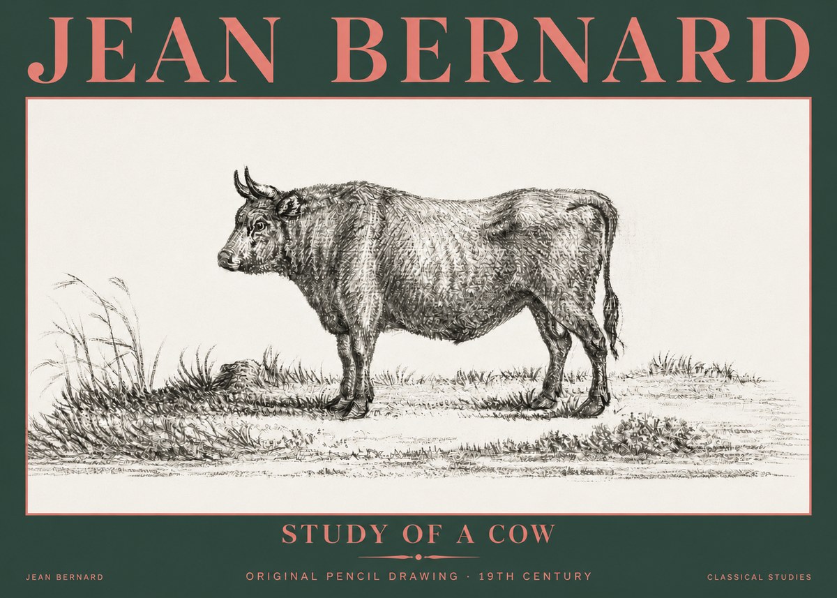 Jean Bernard Study of a Cow XIII No5 - Poster
