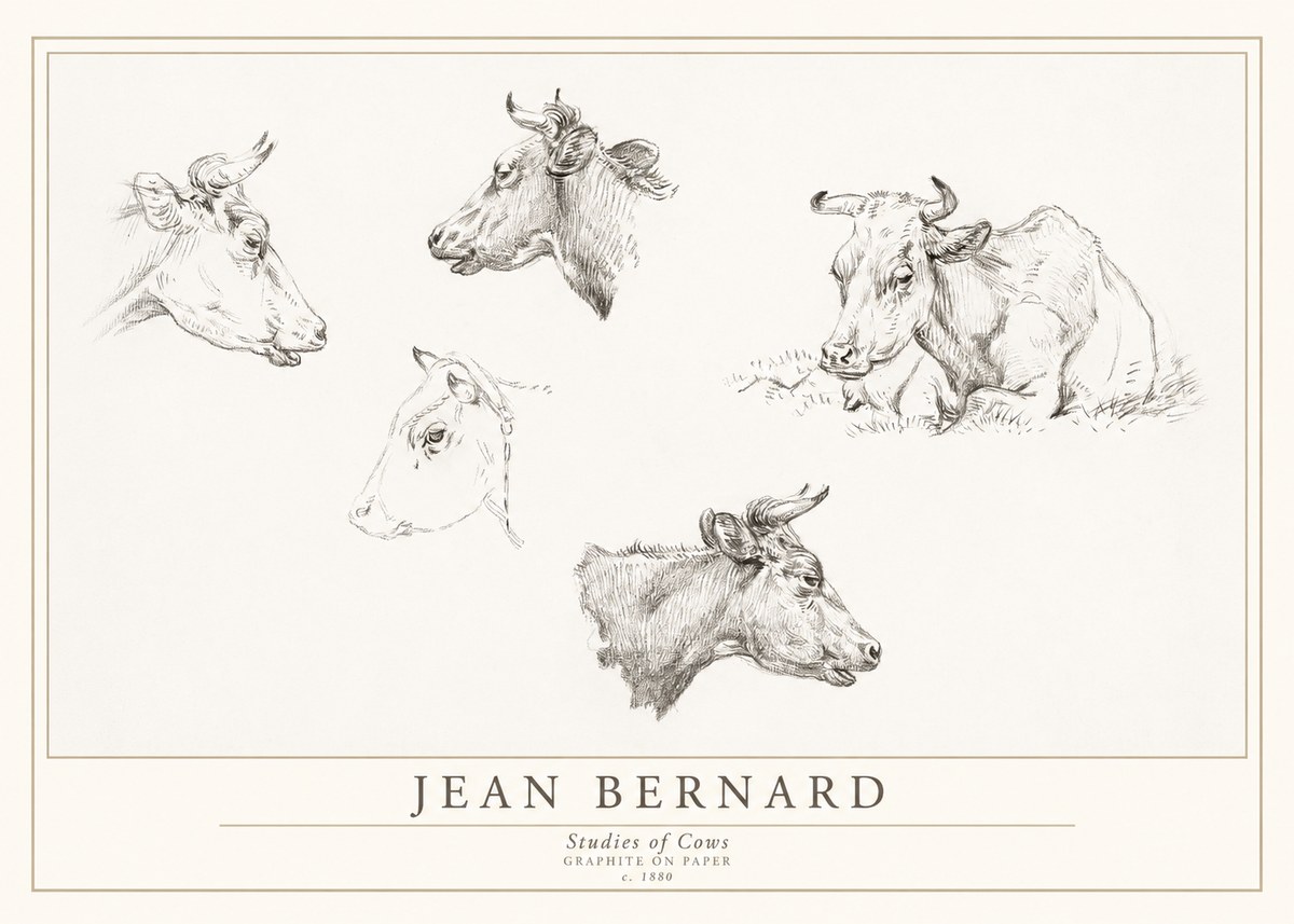 Jean Bernard Studies of Cows I No1 - Poster