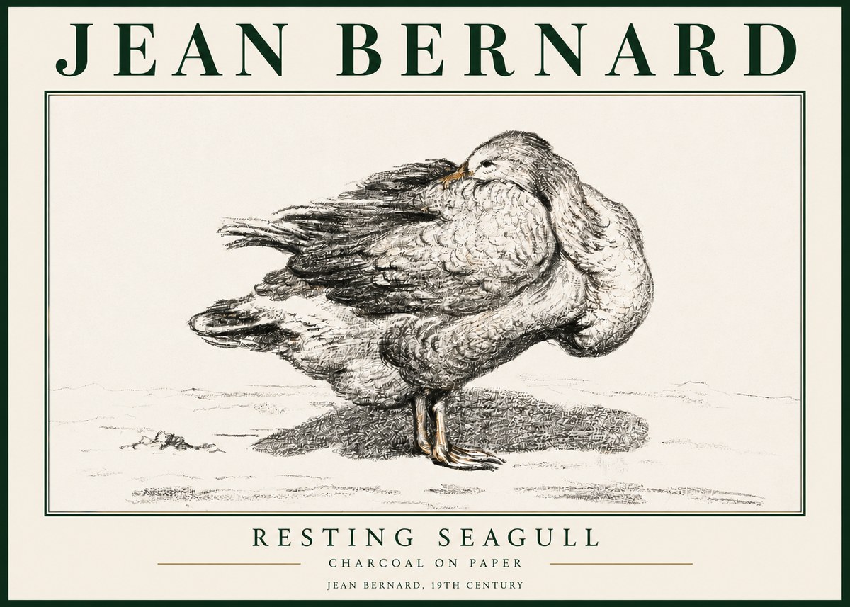 Jean Bernard Resting Seagull No3 - Poster