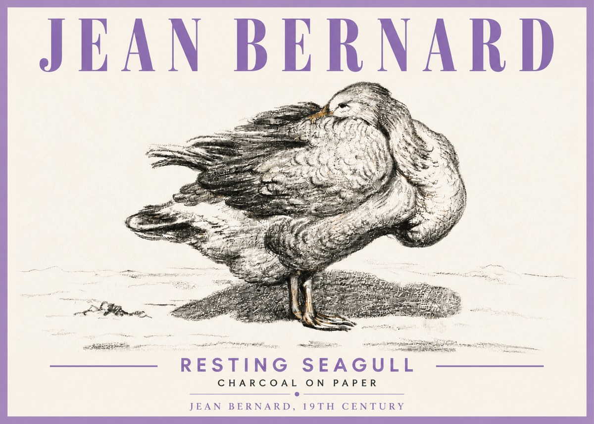 Jean Bernard Resting Seagull No6 - Poster