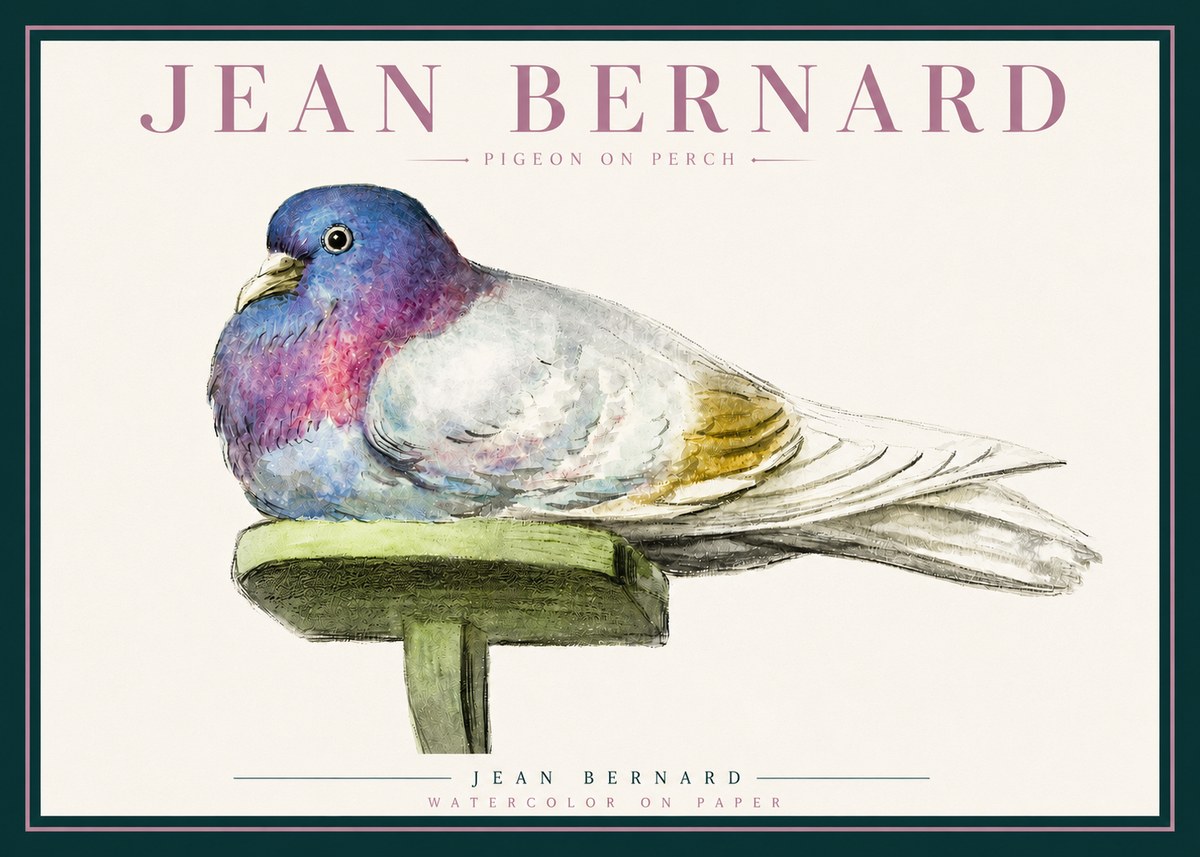 Jean Bernard Pigeon on Perch No3 - Poster