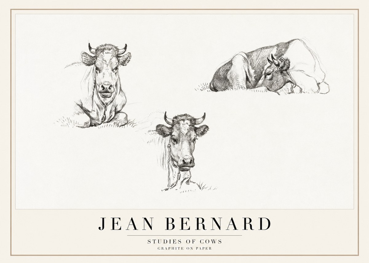 Jean Bernard Studies of Cows II No1 - Poster