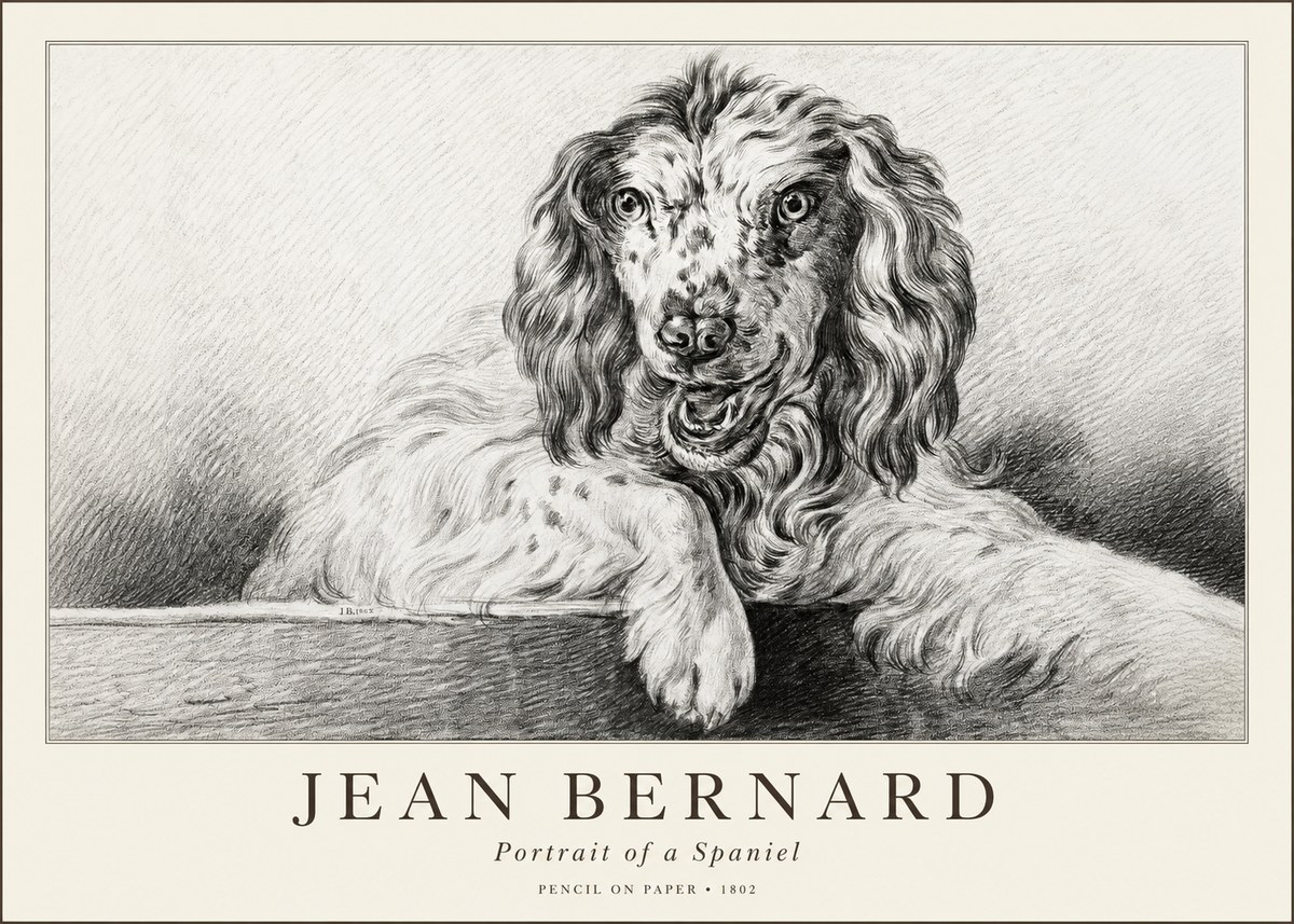 Jean Bernard Portrait of a Spaniel No1 - Poster