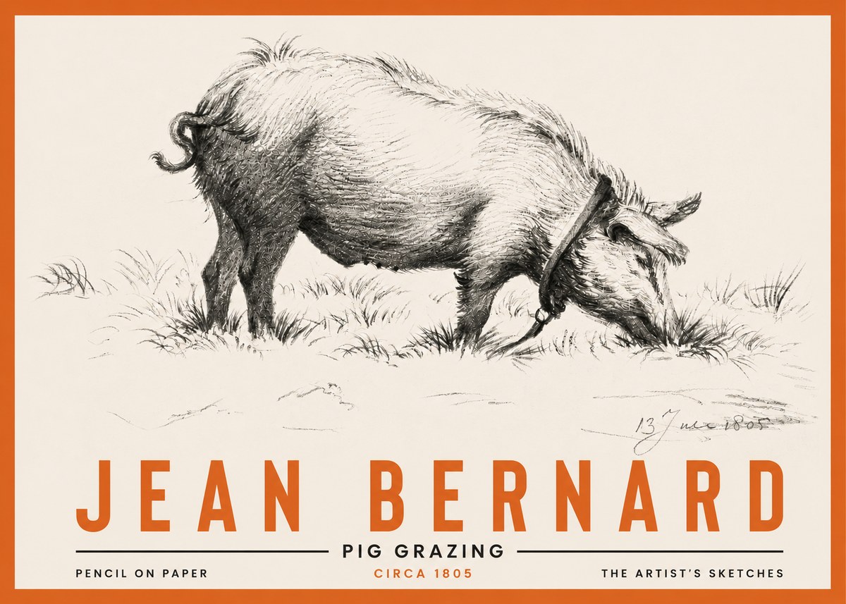 Jean Bernard Pig Grazing No4 - Poster
