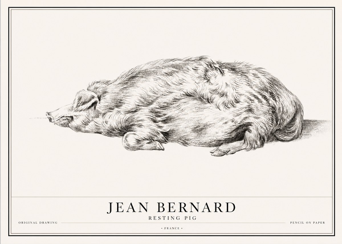 Jean Bernard Resting Pig II No1 - Poster