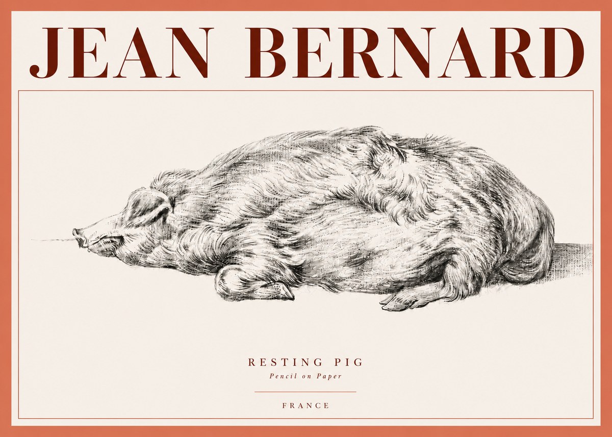 Jean Bernard Resting Pig II No4 - Poster