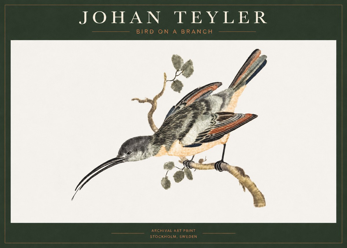 Johan Teyler Bird on a Branch No1 - Poster
