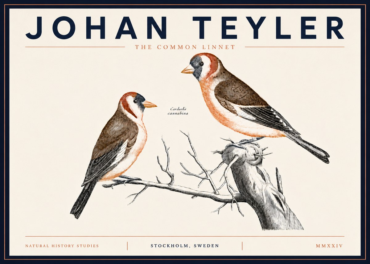 Johan Teyler The Common Linnet No5 - Poster