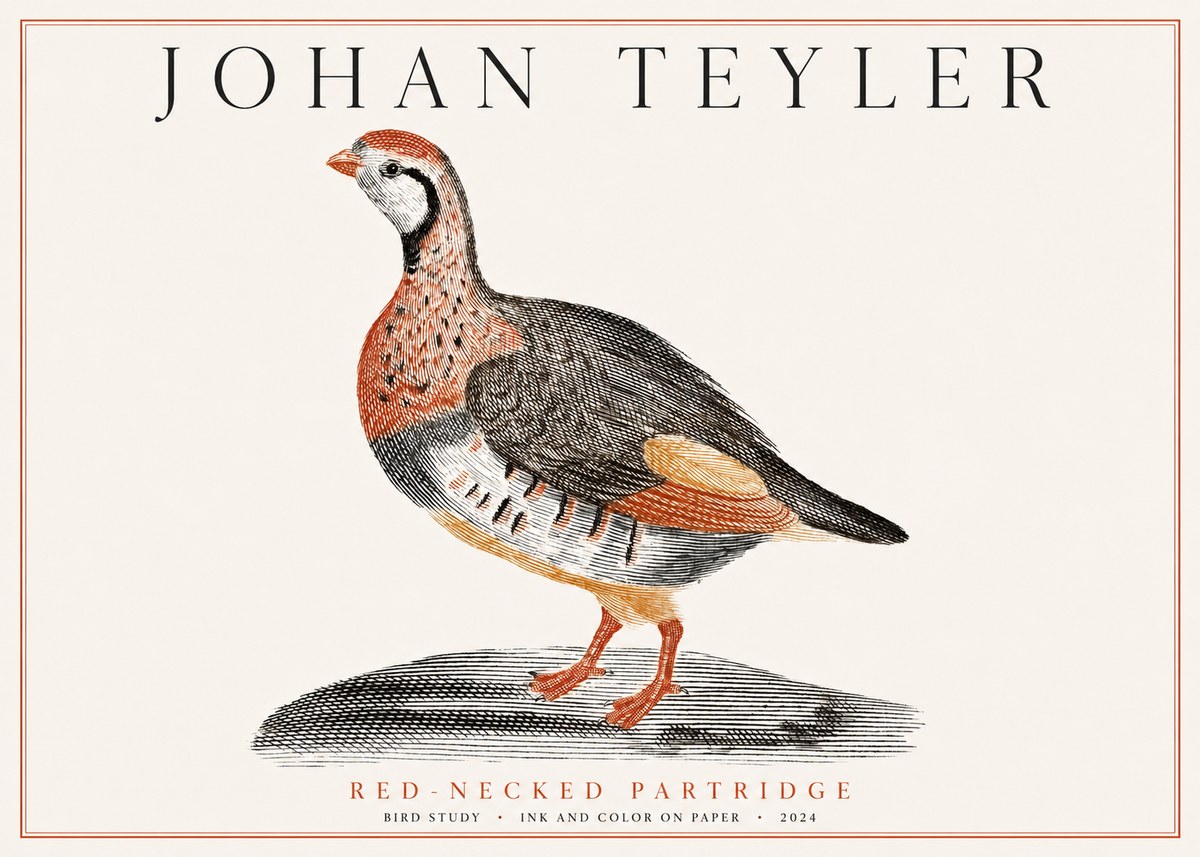 Johan Teyler Red-necked Partridge No1 - Poster