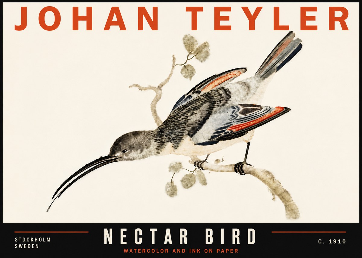 Johan Teyler Nectar Bird No6 - Poster