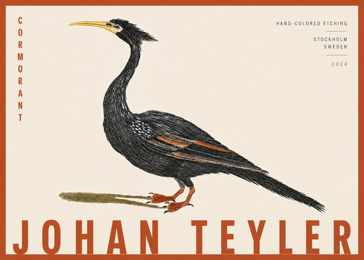 Johan Teyler Cormorant No4 - Poster