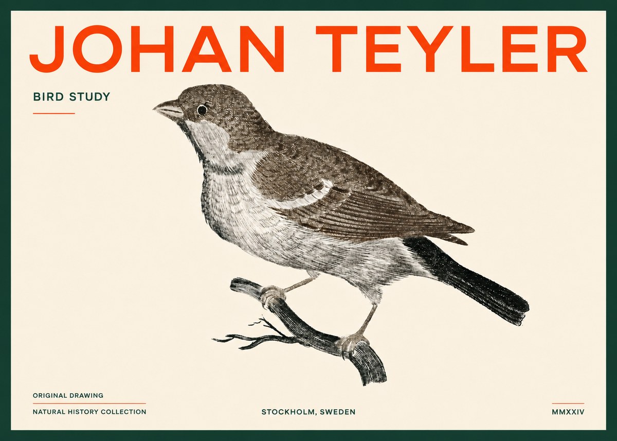 Johan Teyler Bird Study II No5 - Poster