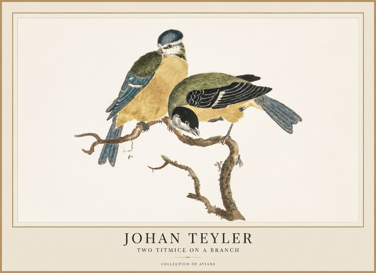 Johan Teyler Two Titmice on a Branch No1 - Poster