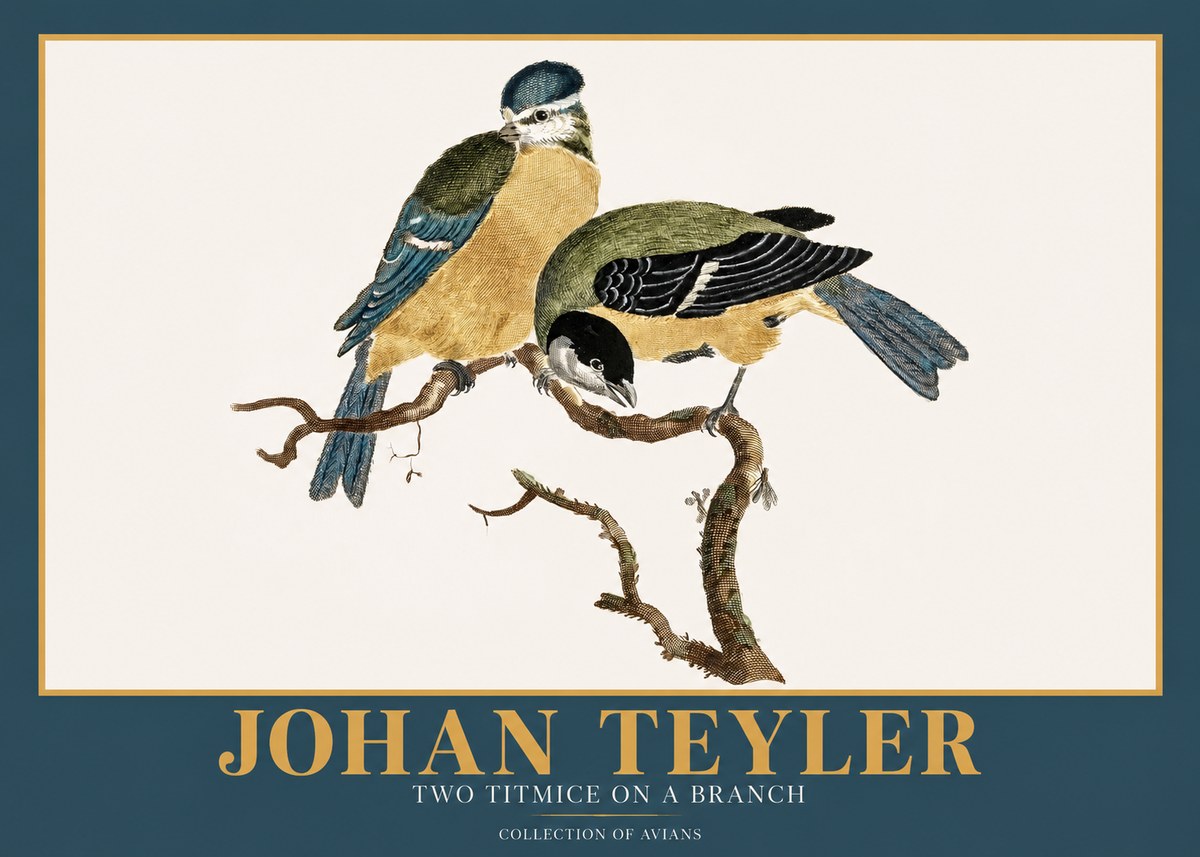 Johan Teyler Two Titmice on a Branch No2 - Poster
