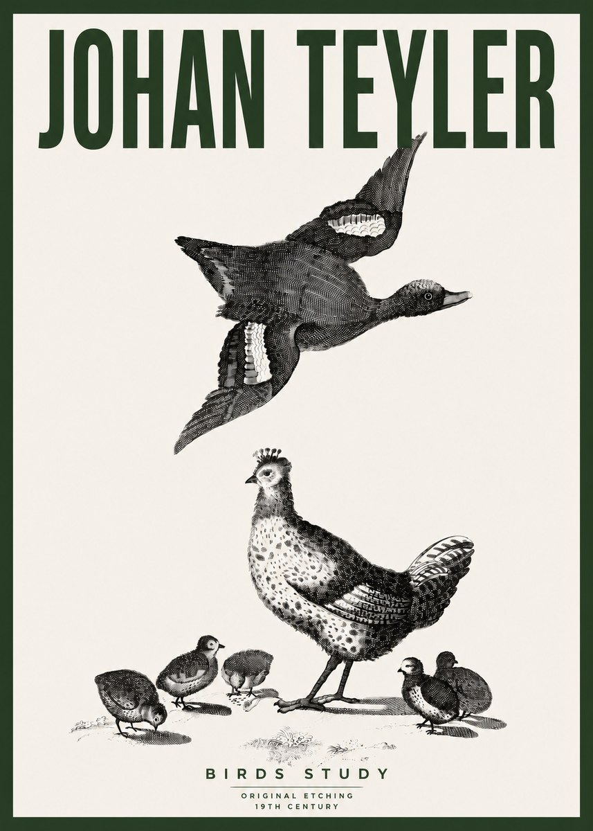 Johan Teyler Birds Study No4 - Poster
