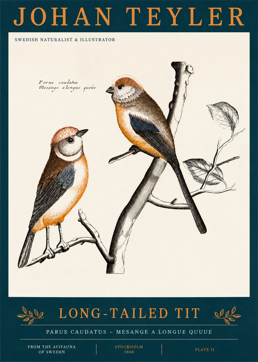Johan Teyler Long-tailed Tit No2 - Poster