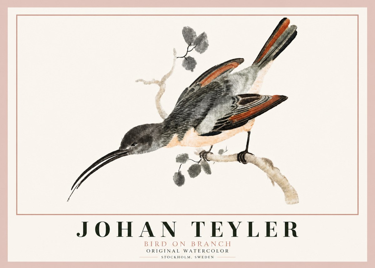 Johan Teyler Bird on Branch II No3 - Poster